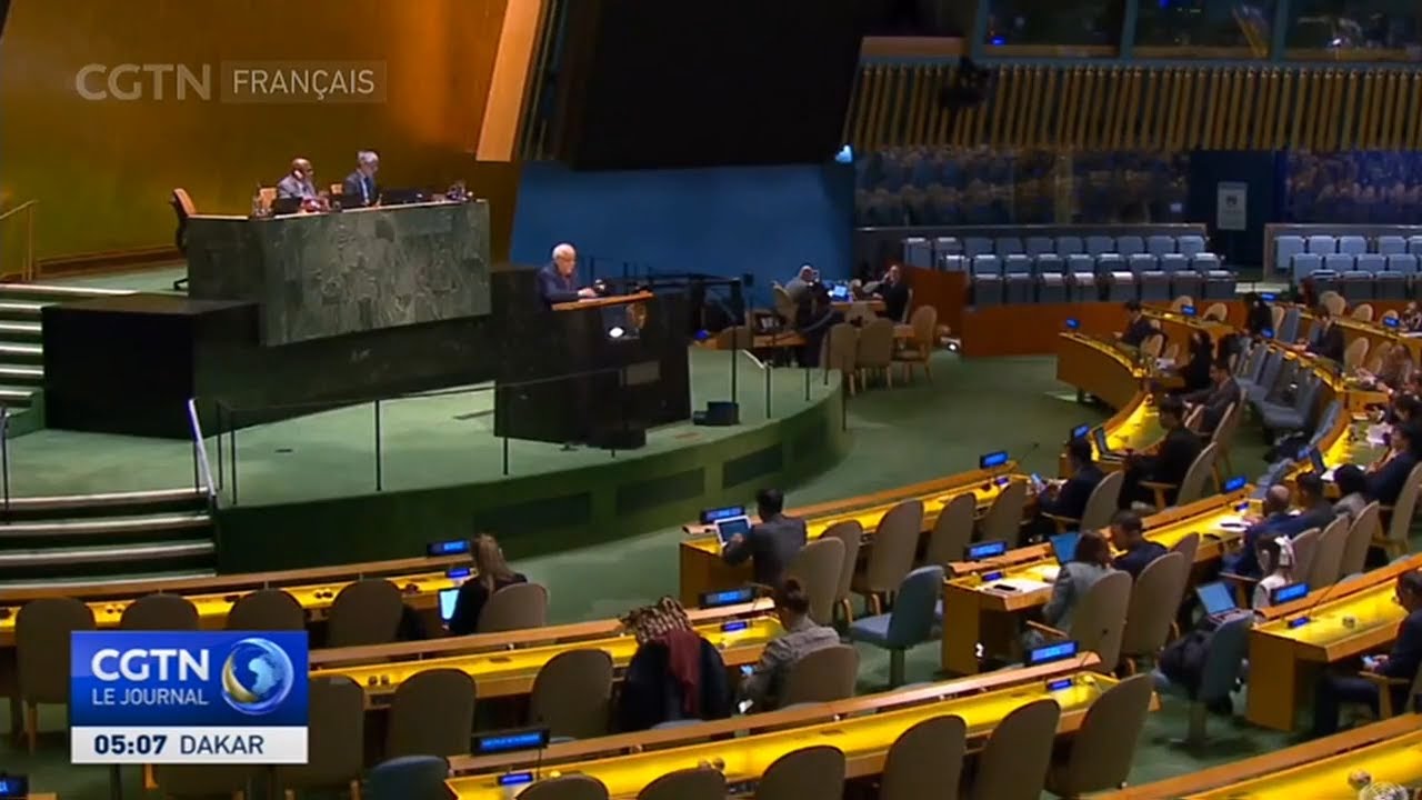 Le comité spécial des Nations Unies examine la demande palestinienne d'adhésion à part entière