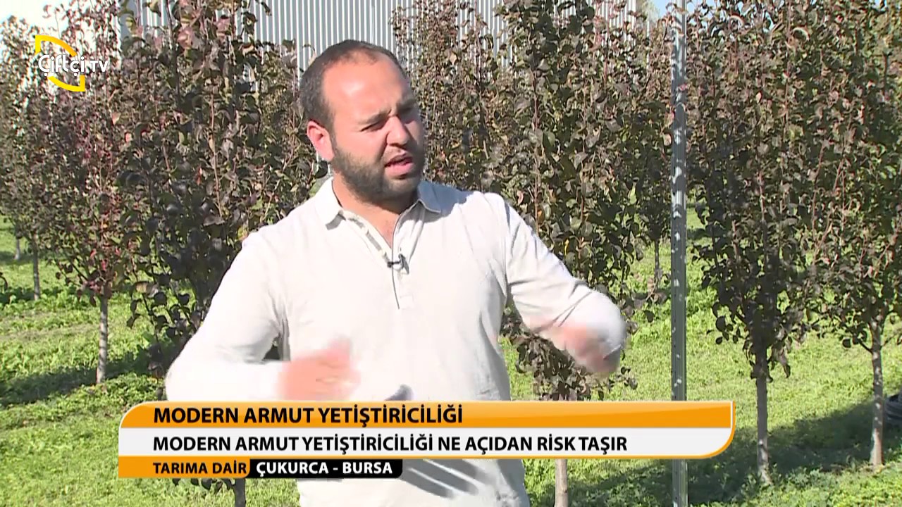 ARMUT YETİŞTİRİCİLİĞİ - BURSATARIM