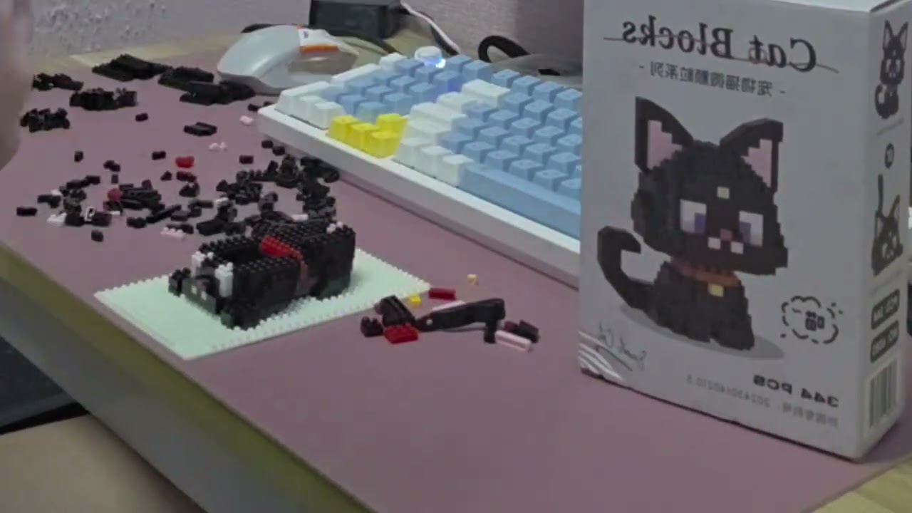 ต่อตัวต่อแมว timelapse building black cat nano block | Raineyps