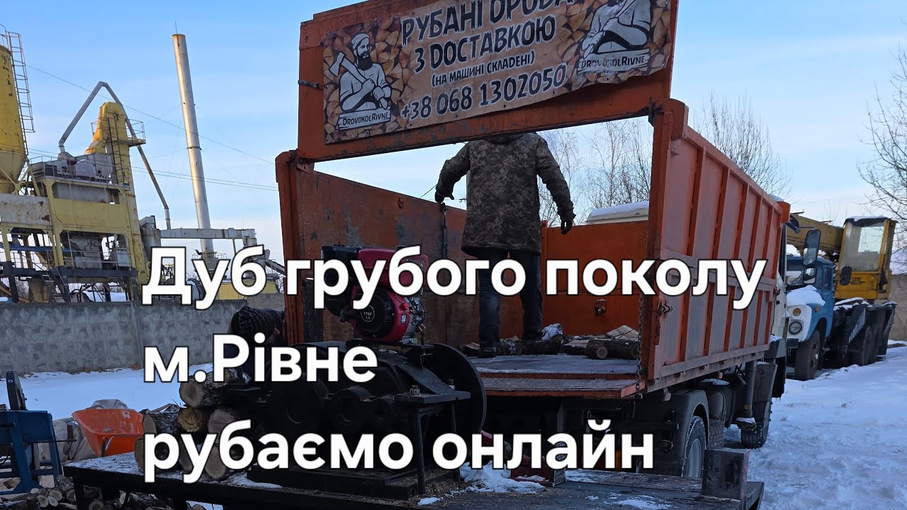 Дуб грубого поколу ,рубаємо онлайн