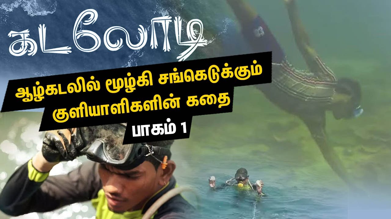 ஆழ்கடலில் மூழ்கி சங்கெடுக்கும் குளியாளிகள் | deep sea diving| கடலோடி | Conch Collectors | Kadalodi