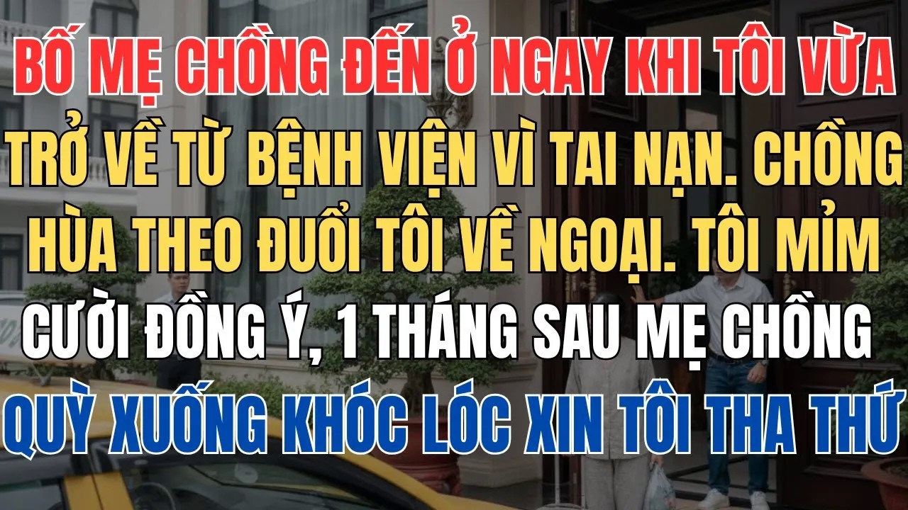 Bố Mẹ Chồng Đến Ở Chồng Cũng Hùa Theo Đuổi Tôi Về Ngoại 1 Tháng Sau Mẹ Chồng Đến Quỳ Xin Tôi Tha Thứ