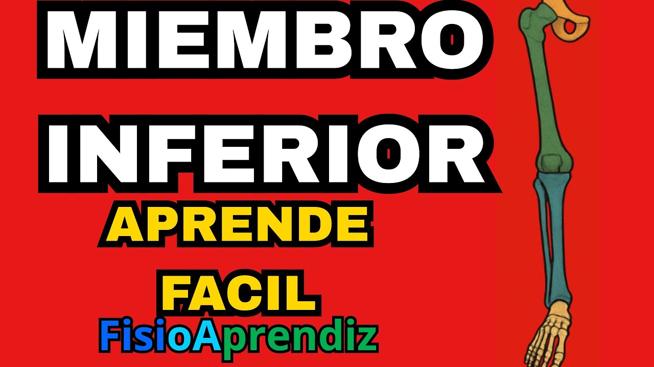 TODOS los HUESOS de las PIERNAS explicados FÁCIL 🦵 | FisioAprendiz