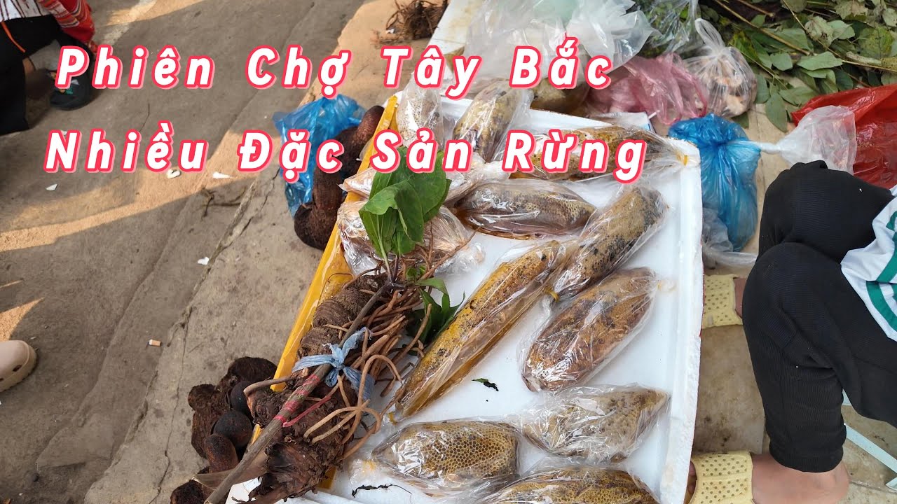 Chợ Phiên Tây Bắc Nhiều Đặc Sản núi Rừng |Miền Núi Phía Bắc