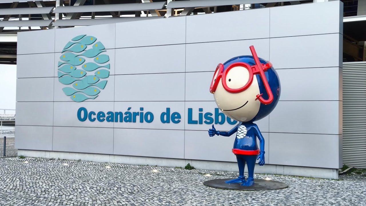 Cursos Profissionais: Técnico de Informática de GestãoComunicação e Serviço Digital