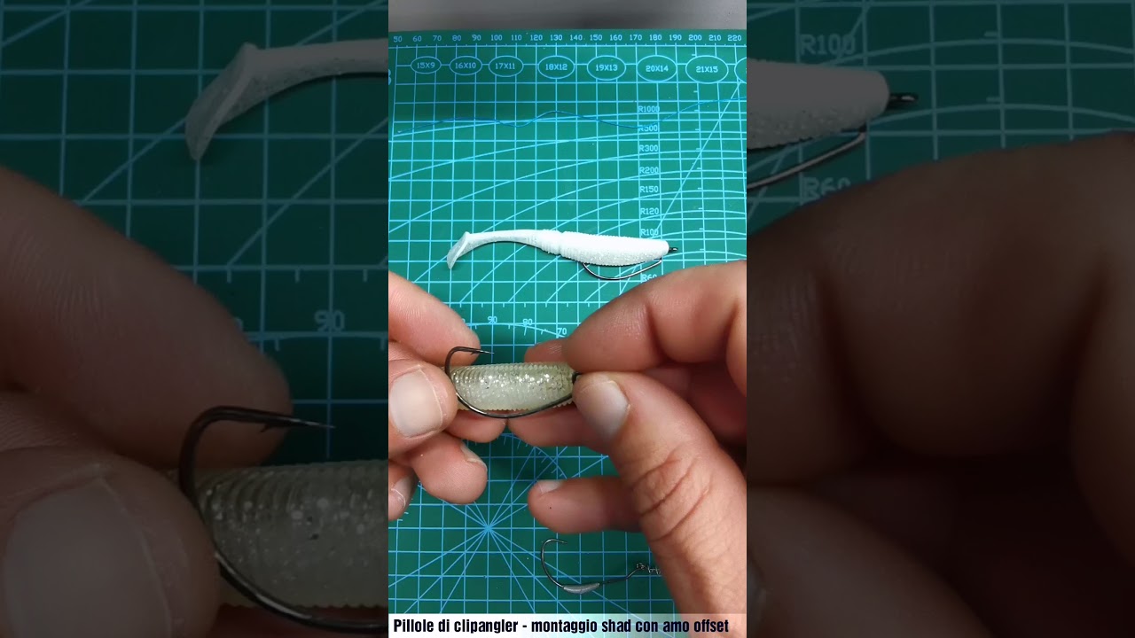 Montaggio base amo offset su soft shad - Base mount offset hook on soft shad - shorts