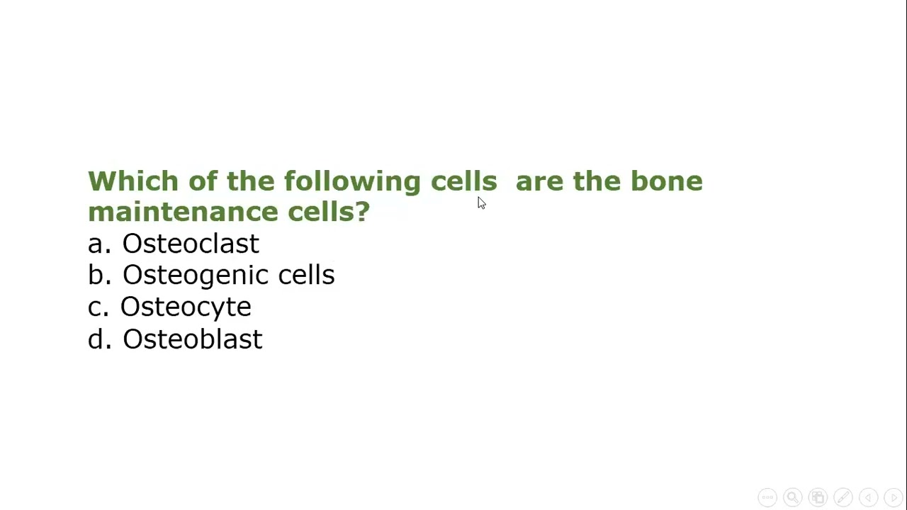 MCQ on Bone Histology(Part I)