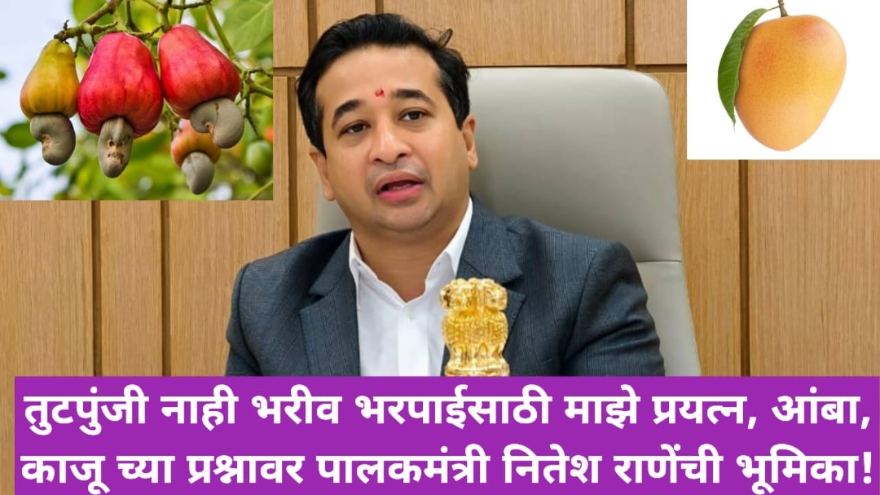 तुटपुंजी नाही भरीव भरपाईसाठी माझे प्रयत्न, आंबा, काजू च्या प्रश्नावर पालकमंत्री नितेश राणेंची भूमिका