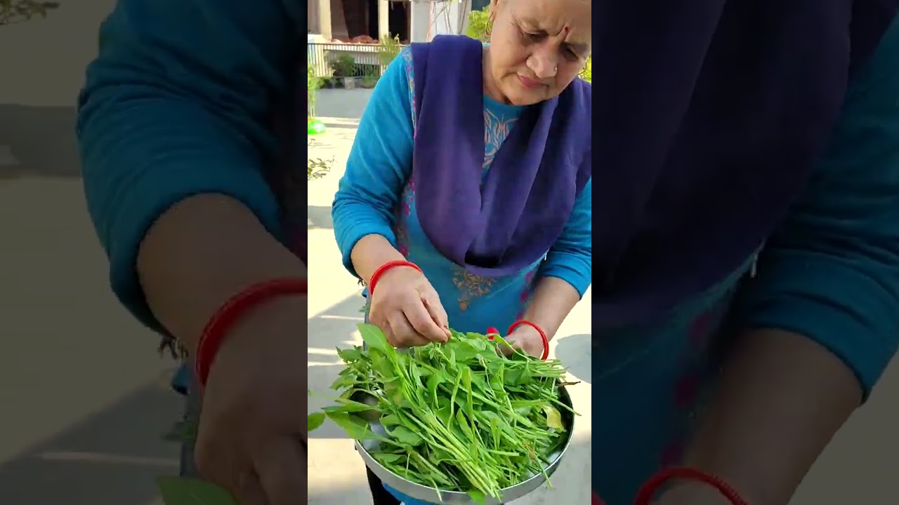 बोरी एवं टब, छत बगीचे से आयरन युक्त पालक तथा टमाटर की पुनः हार्वेस्टिंग #garden ❤️वायरल ❤️❤️vedio