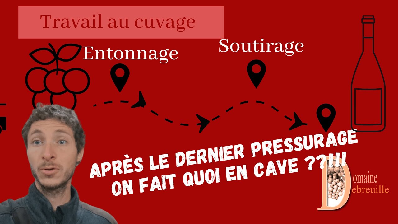 Travail en cave après les vendanges / Les étapes clés de l'élaboration de nos vins /Les Vinification