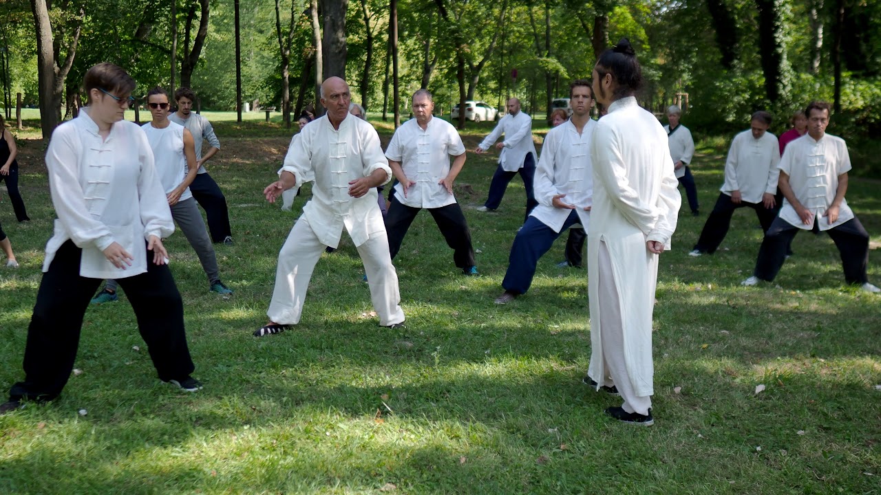 Master Chen Shiyu shows Tai He Quan Fajin Movements