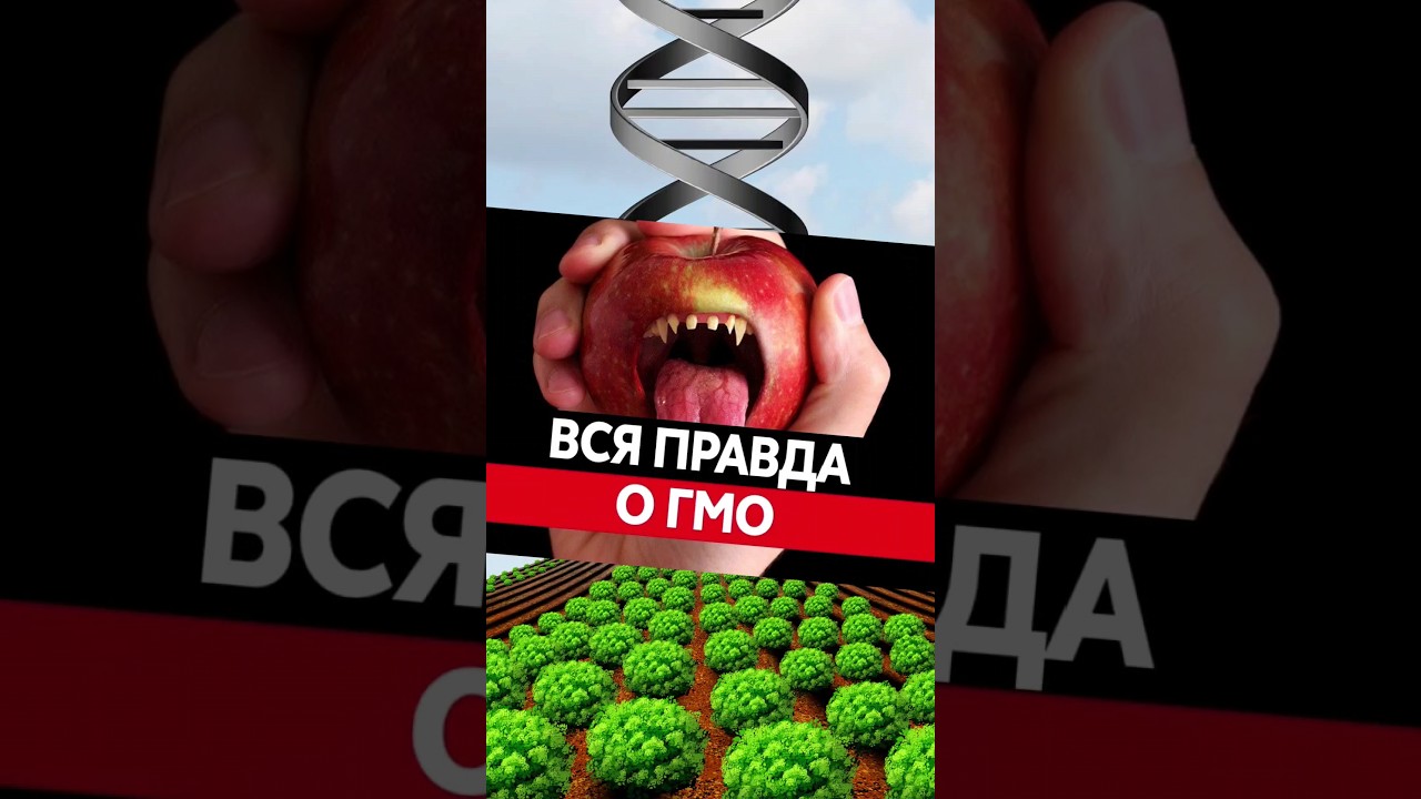 Шокирующая правда о ГМО #гмо #вредгмо #здоровье #генномодифицированныепродукты