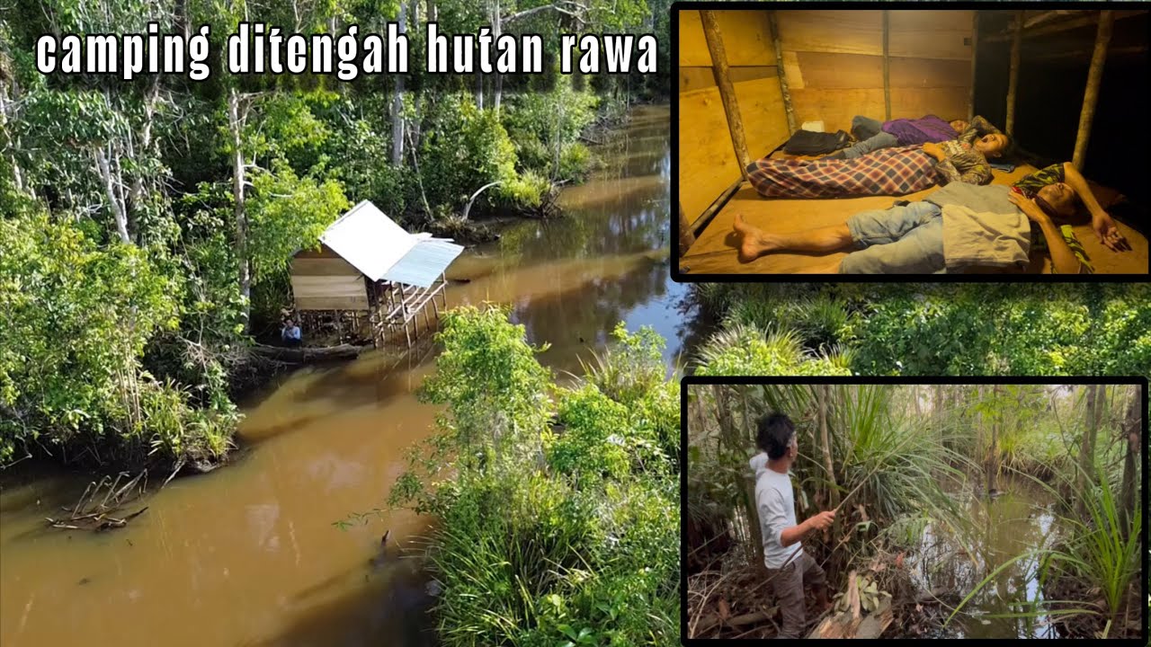 CAMPING⁉️ hujan lebat tengah malam. makan masak di shelter tengah hutan rawa