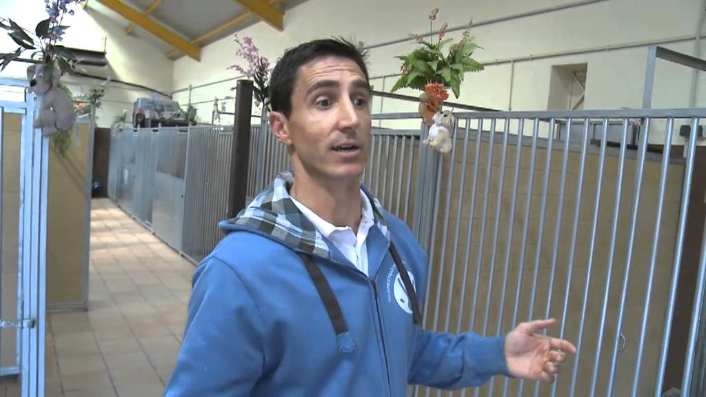 RESIDENCIA CANINA Y ADISTRADOR CANINO ( MANUEL ALONSO )