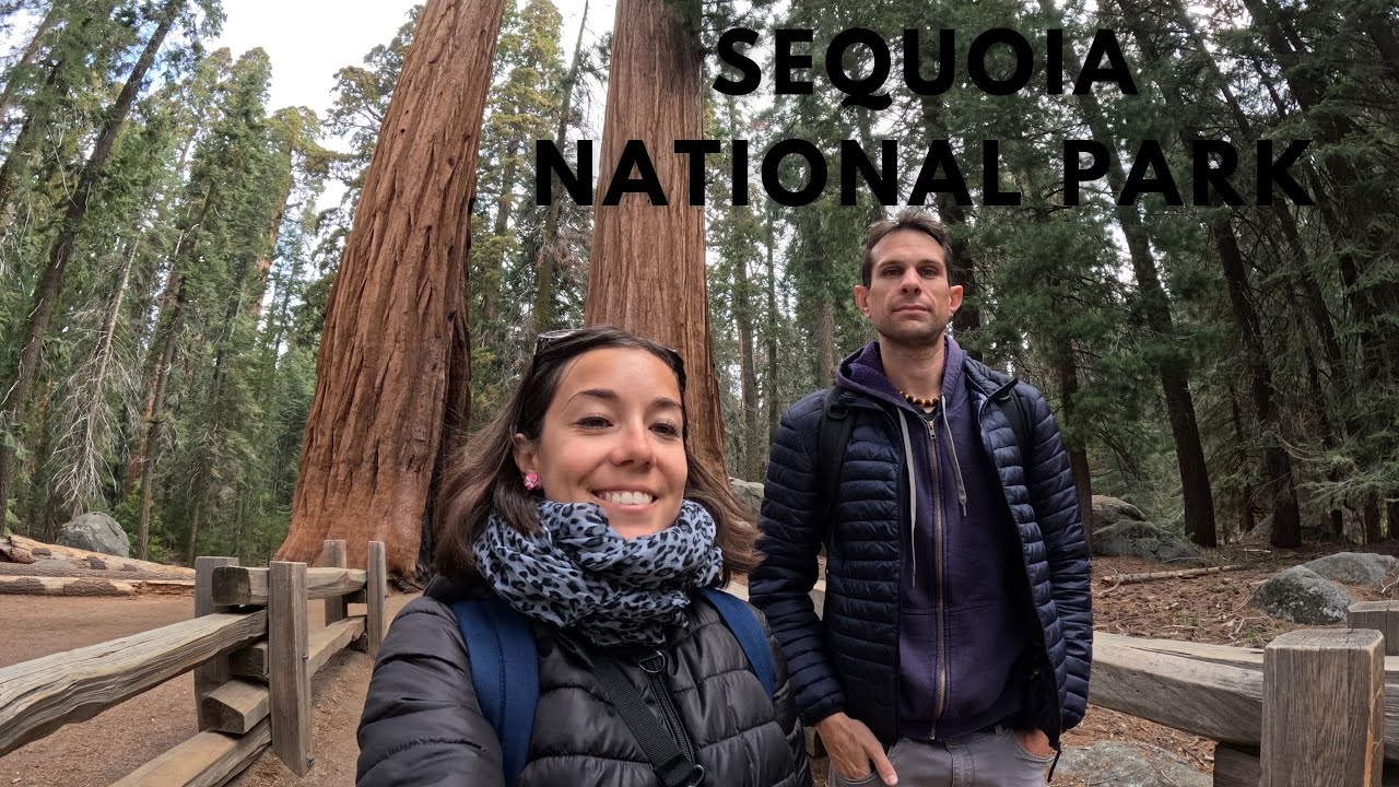 IN MEZZO AGLI ALBERI PIU' GRANDI DEL PIANETA! ||🌏Vlog USA