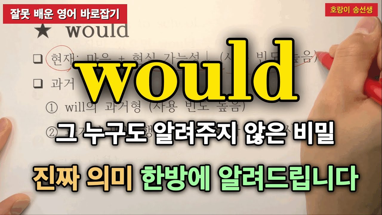 조동사 would 한방에 이해시켜드립니다 / 호랑이 송선생 Ch.30