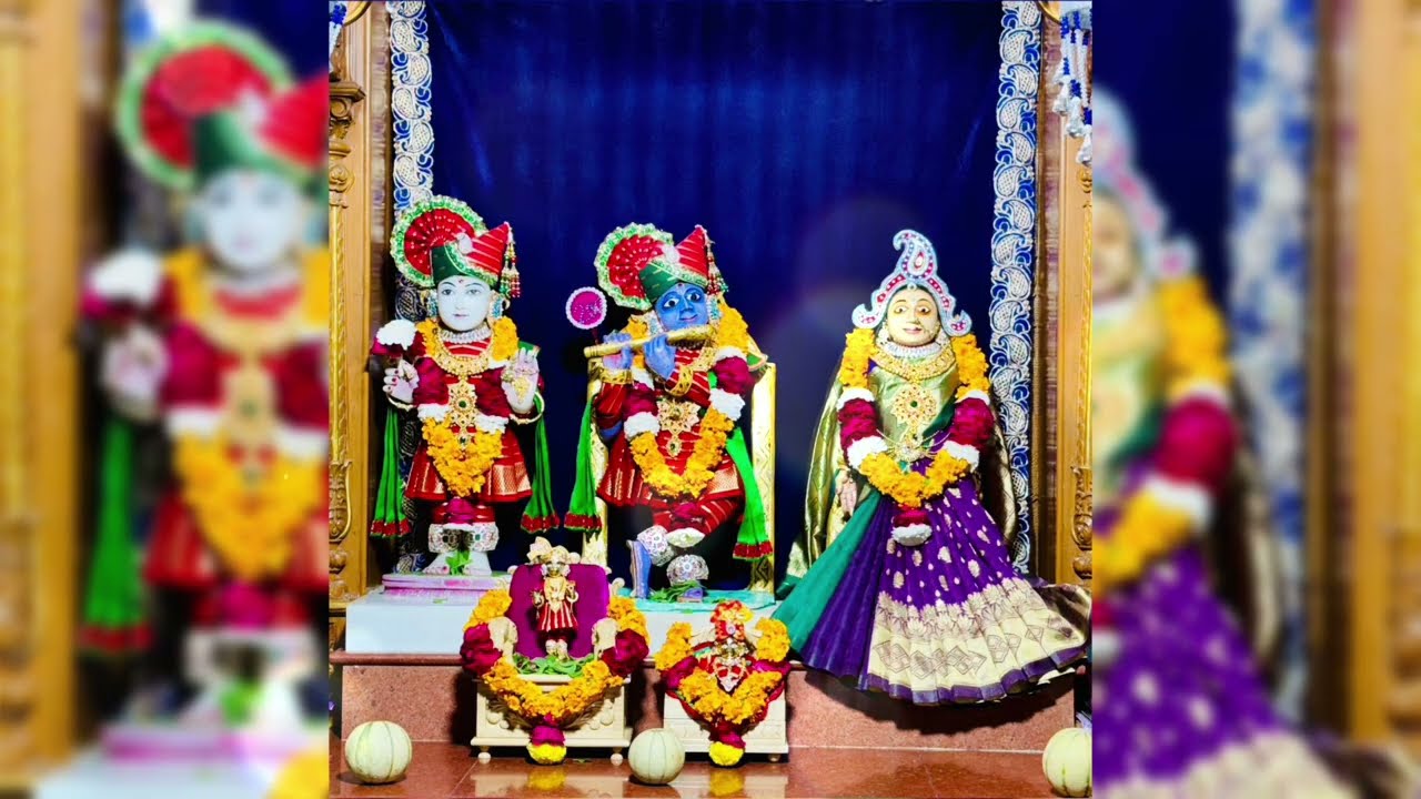સજની કોડે આનંદ મારે ઘેર. || છ ધામના દર્શન તા.04-02-2026|| SWAMINARAYAN DAILY DARSHAN