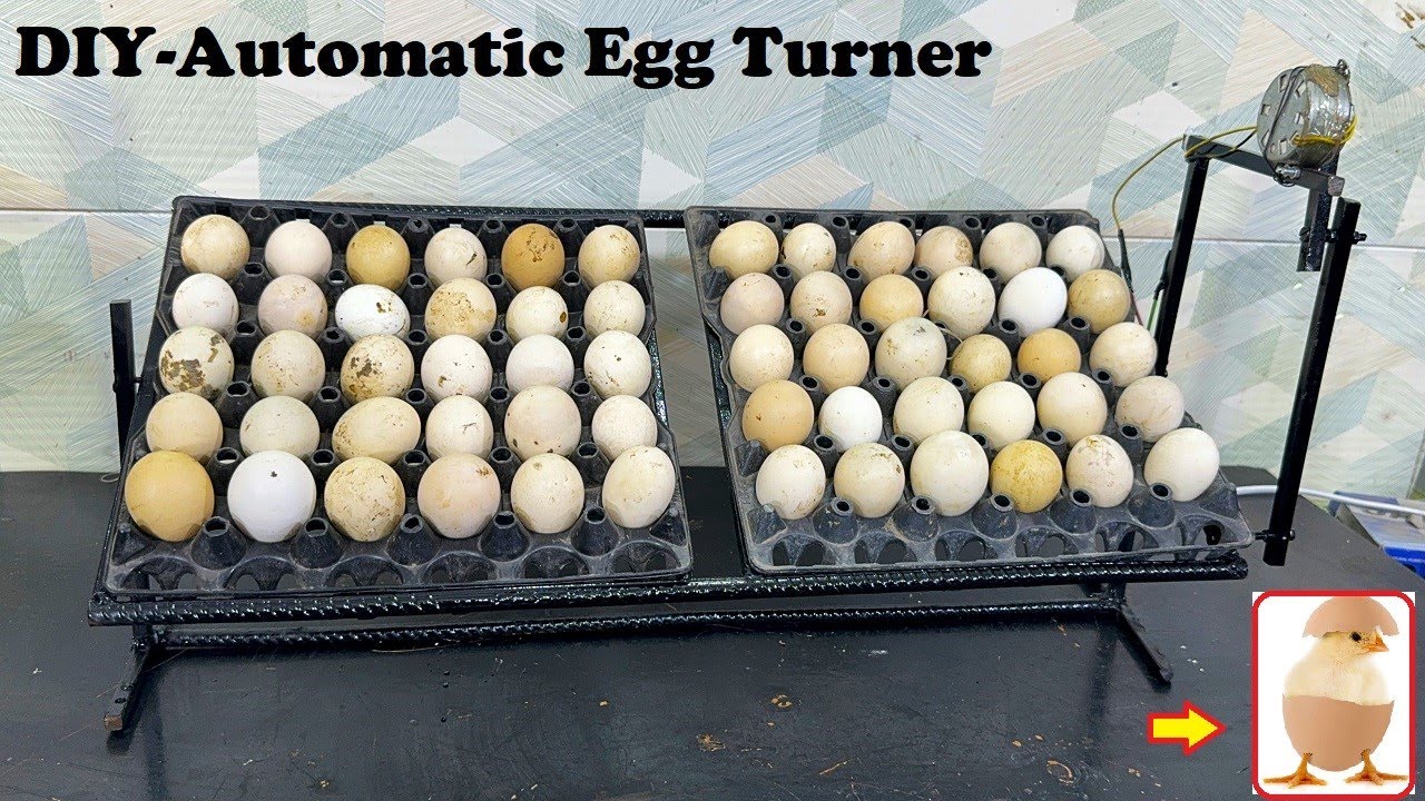 How to Make Automatic Eggs turner for Egg Incubator - DIY Automatic  Eggs Turning Tray (60 Eggs )