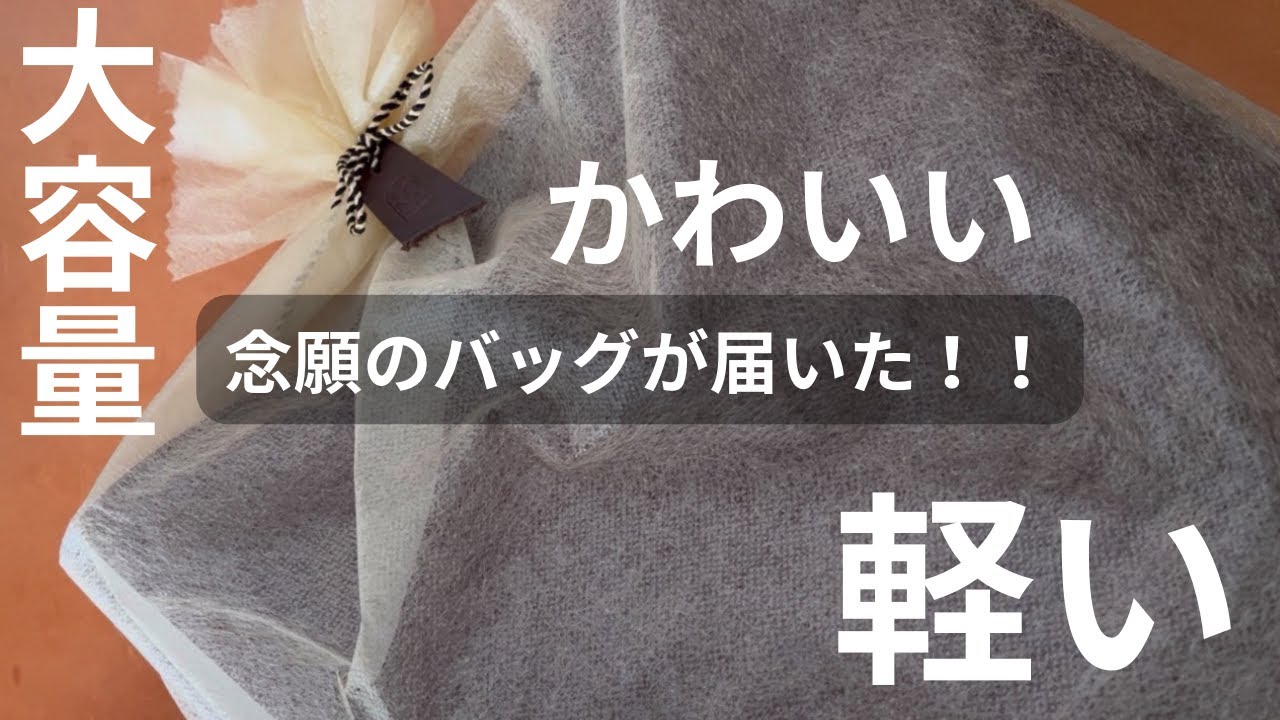 【LONA/開封】13インチのPCもすっぽり入る「大容量」「軽い」「かわいい」念願のレザーバッグが届いた！｜VISS tote