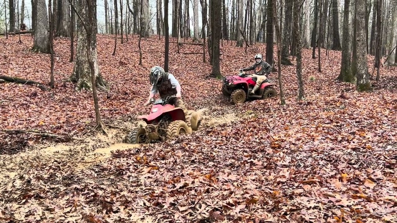 Hitin a dig 