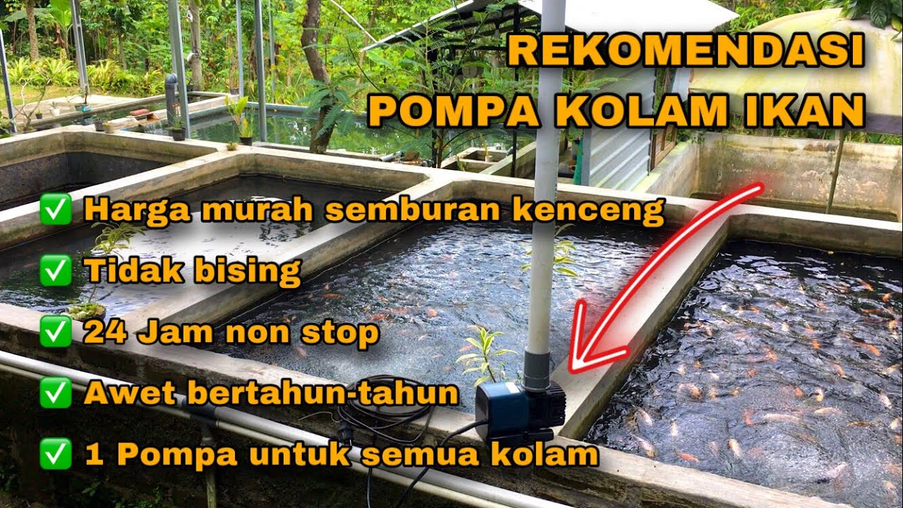 REKOMENDASI POMPA KOLAM YANG MURAH, SEMBURAN KENCANG, HEMAT LISTRIK, AWET BERTAHUN-TAHUN