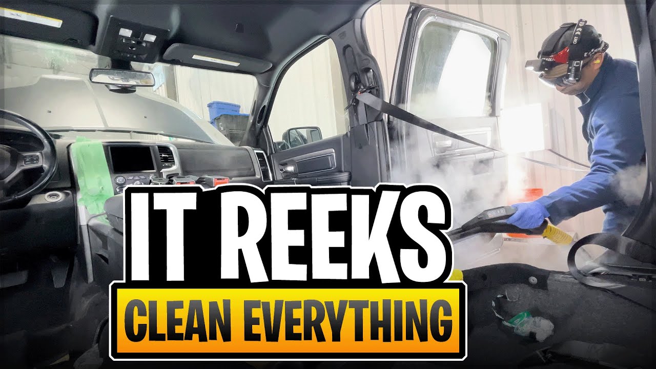 Rotten Animal Smell Owner Can't Handle It Anymore. Causing Medical Issues