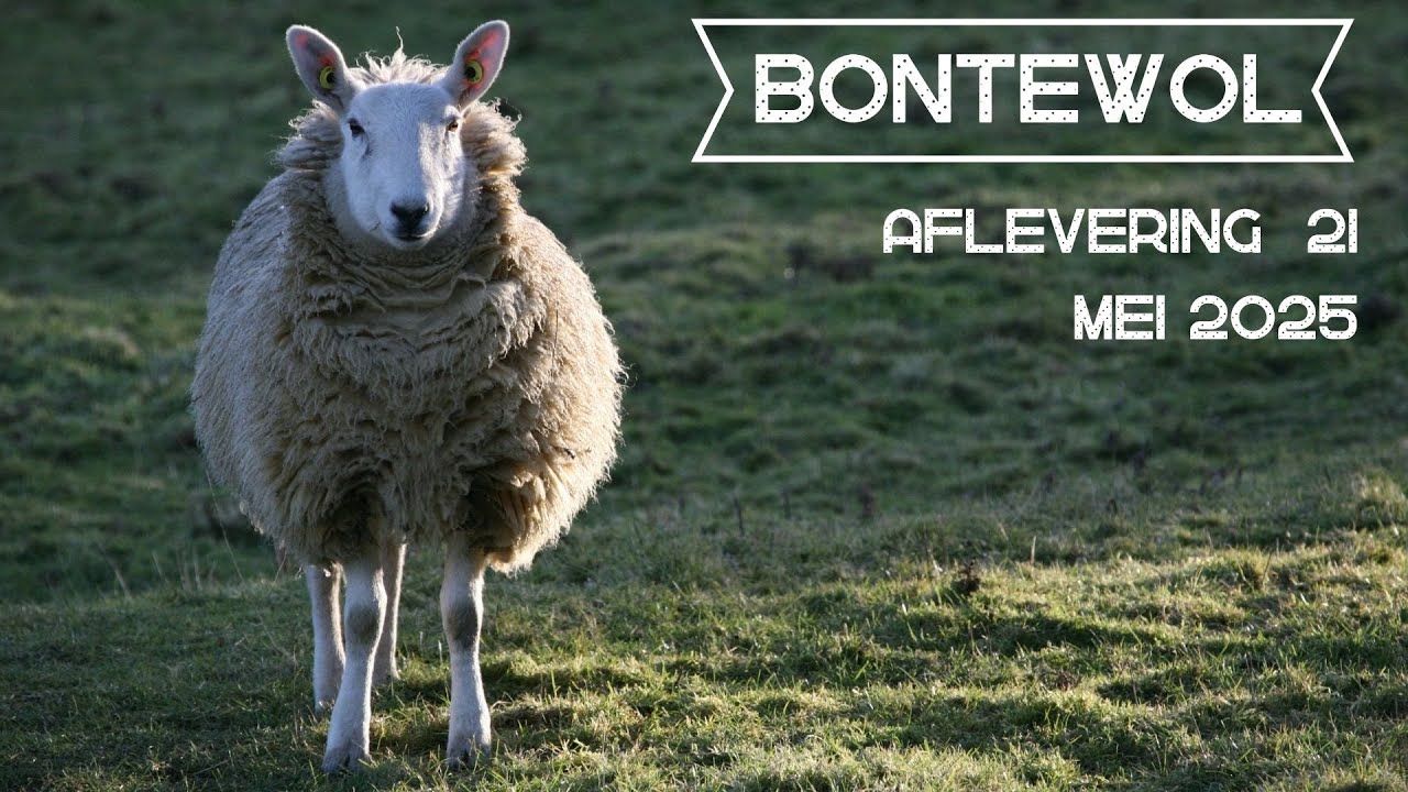 Bontewol, afl. 21 (mei 2025)