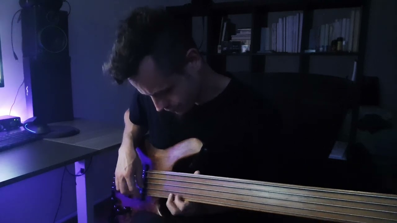 Ensemble Salazar-Bir Enzarane (cover excerpt II.) Fretless Bass