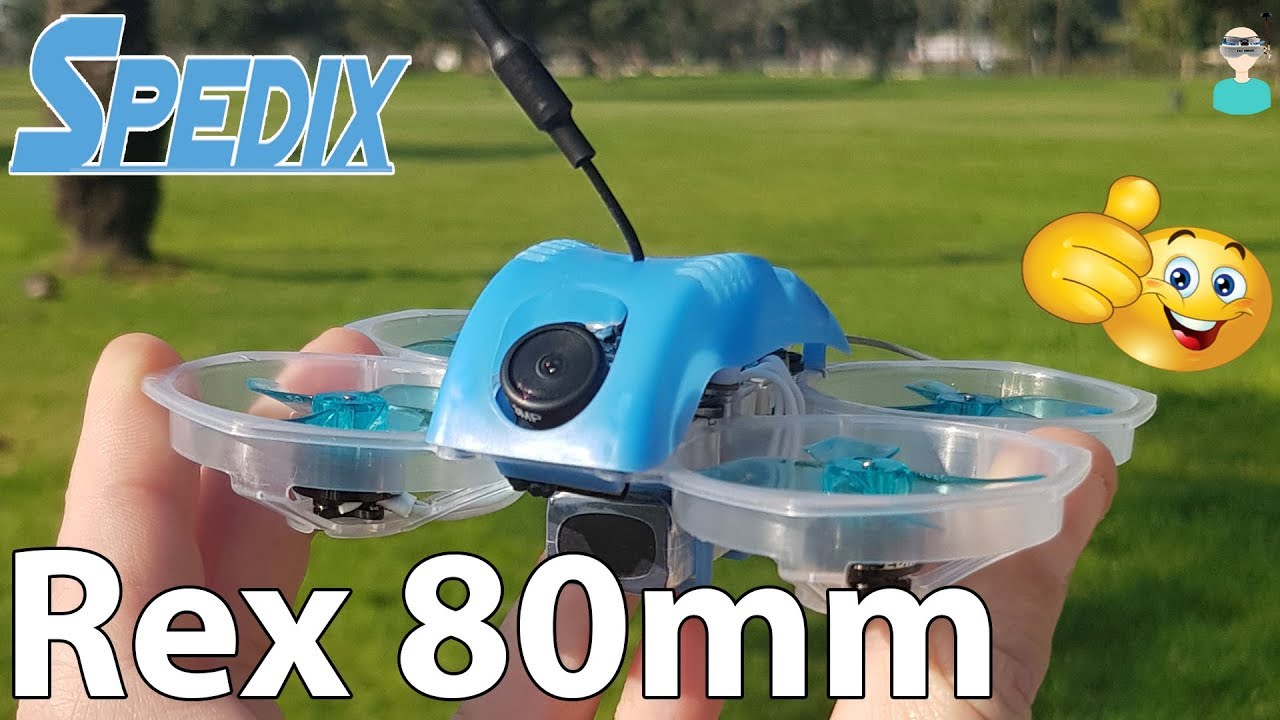 Spedix Rex / Gofly Scorpion 80mm Power Whoop Review