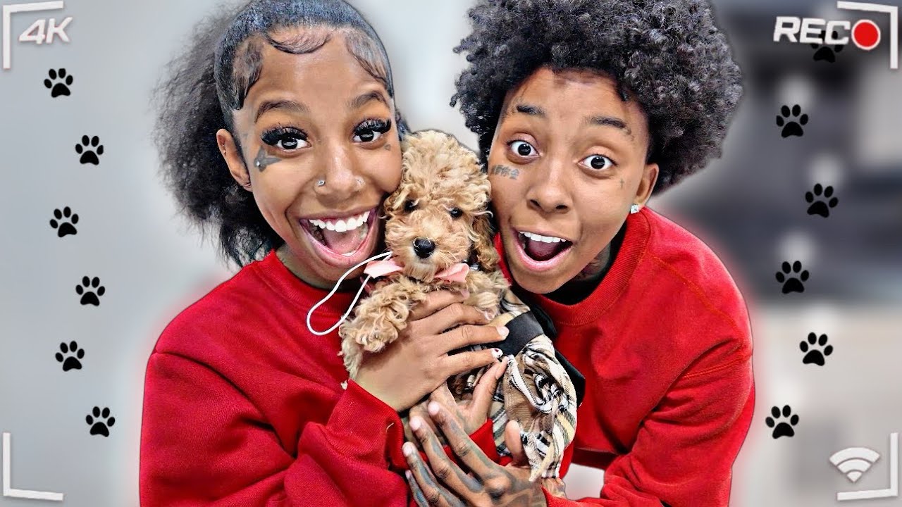 PUPPY NAME REVEAL 💕 WITH RKEMPIREE ❤️