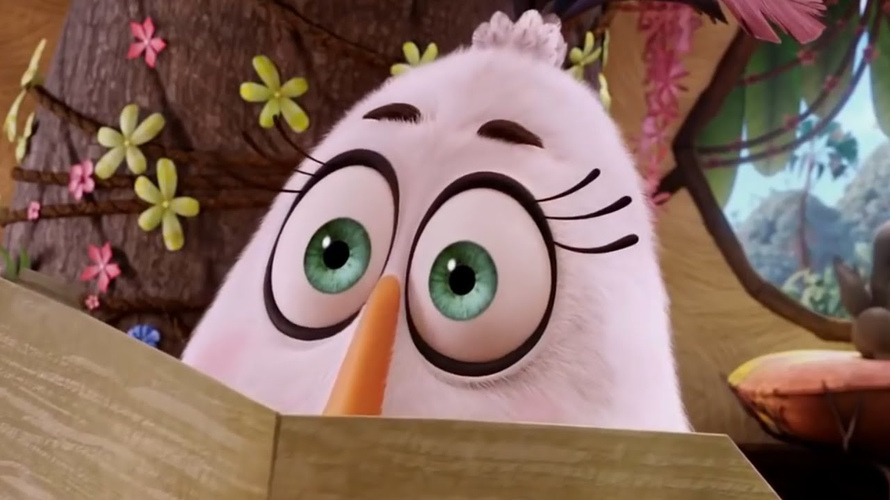 Angry Birds Terrence meme