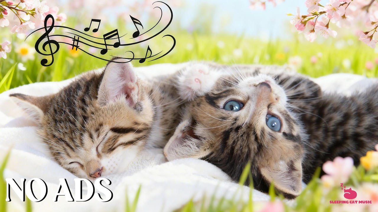 Music for Cats to Fall Into Deep Sleep - Cat Sleeping Music! Calming Lullaby Sounds to Relax Cats