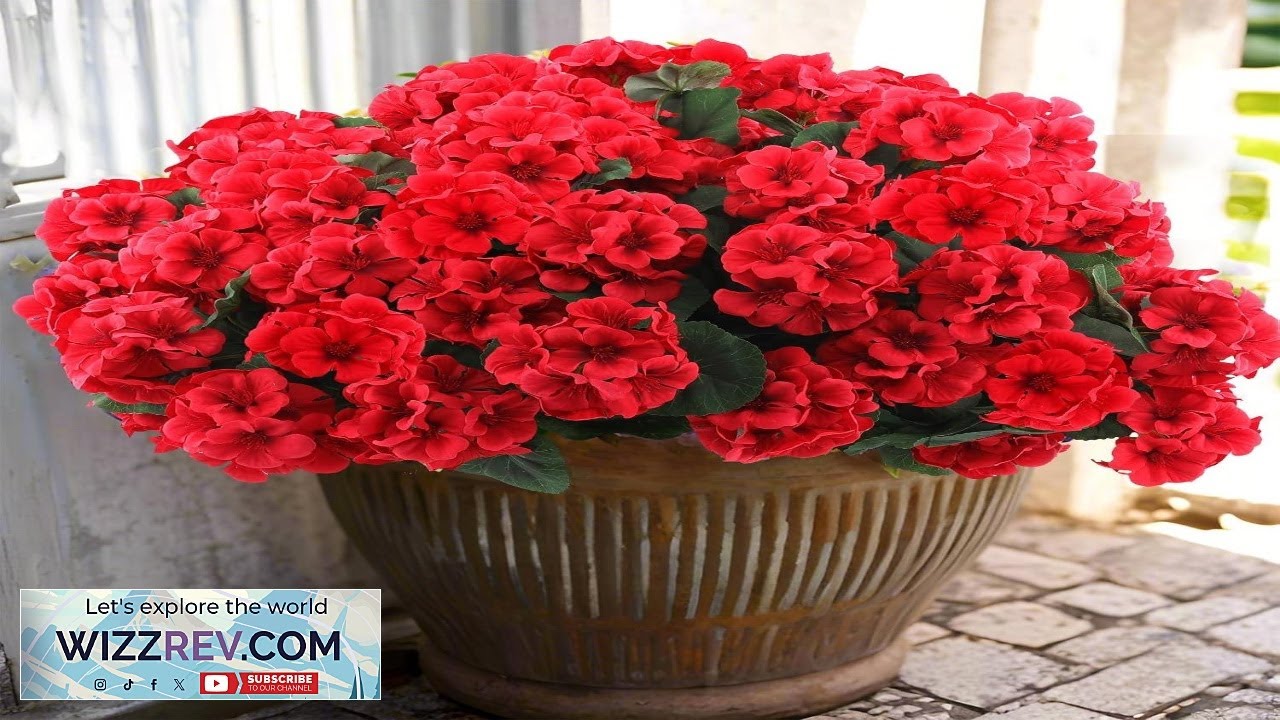 Hananona 24 Pcs Artificial Geranium Flowers for Outdoors Geranium Silk Flowers Outdoor Review