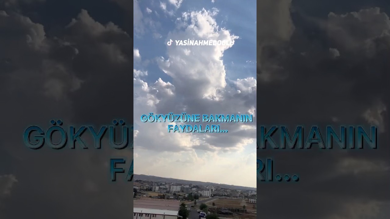 Gökyüzüne Bakmak | Yasin Ahmedoğlu | 