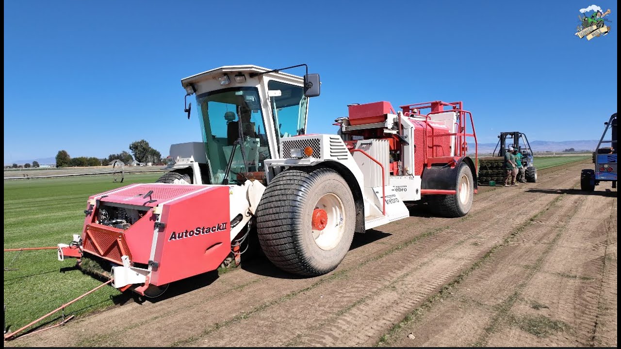 Harvesting Sod | McKellip Sod Farm | Nampa Idaho