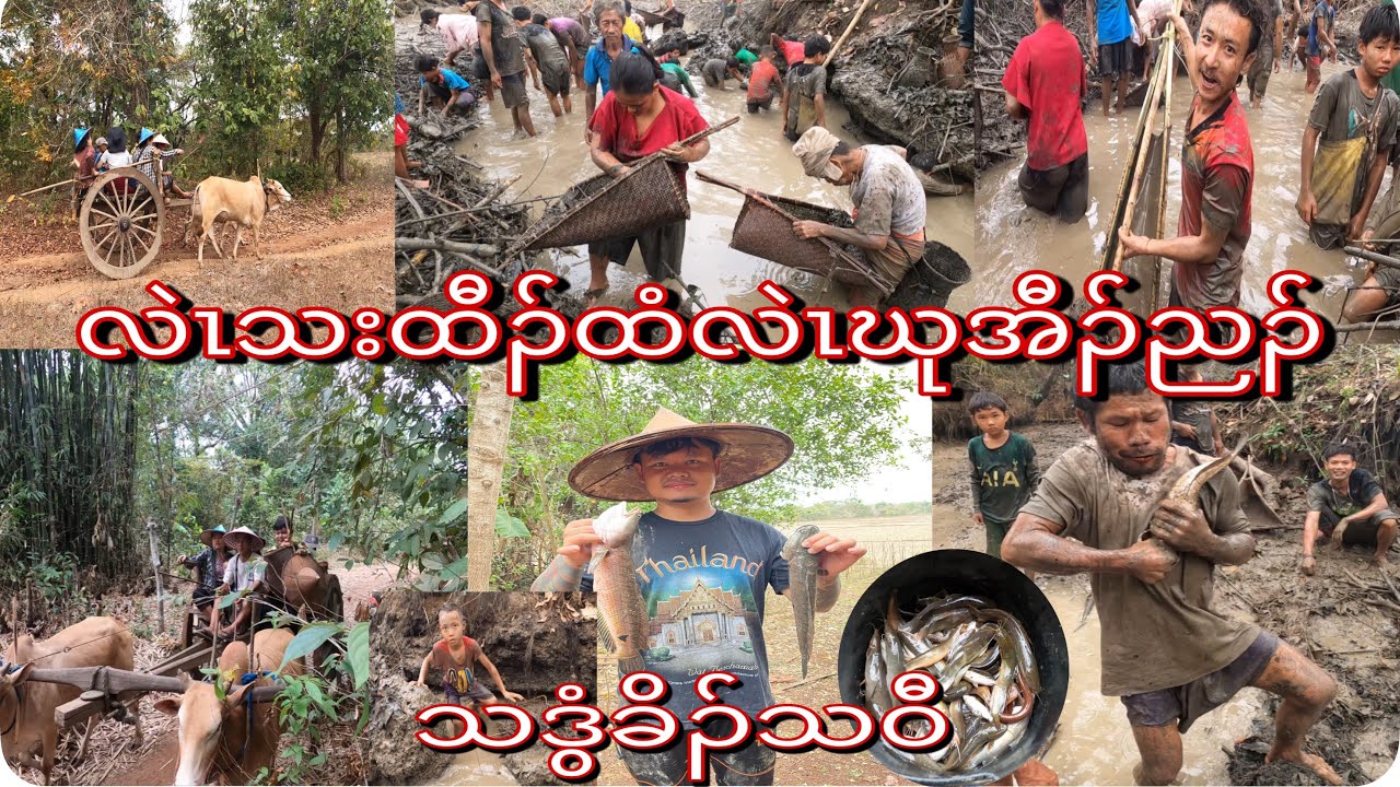 Karen life . လဲၤသးထံလဲၤဖီၣ်အီၣ်ညၣ်