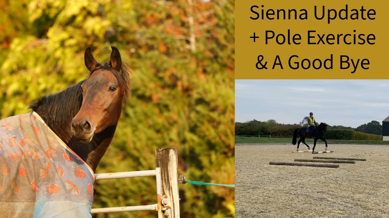 Обновление Sienna + Упражнения на шесте и прощание