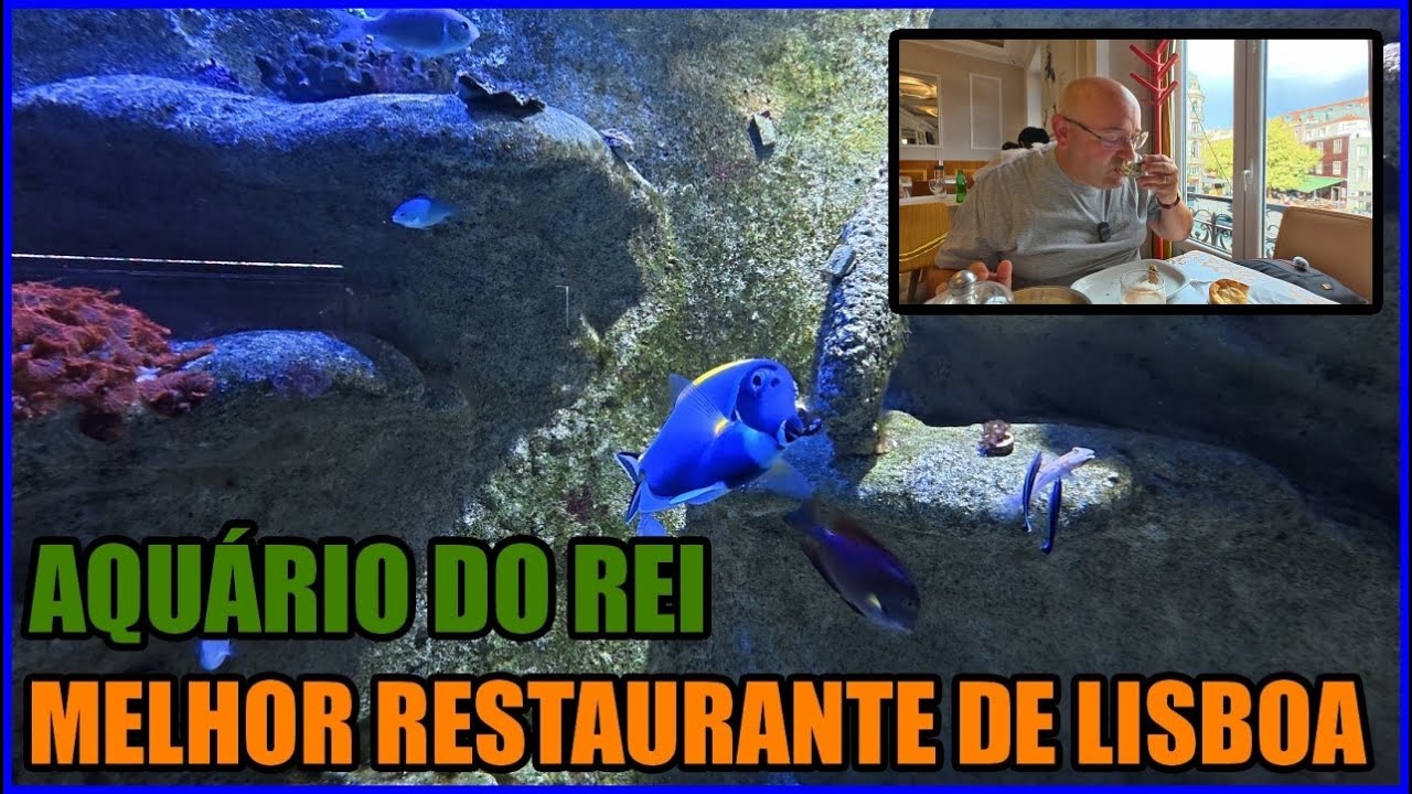 O Melhor Restaurante de Lisboa, Aquário Vasco da Gama e Estufa Fria - Lisboa Com o Meu Avô EP4