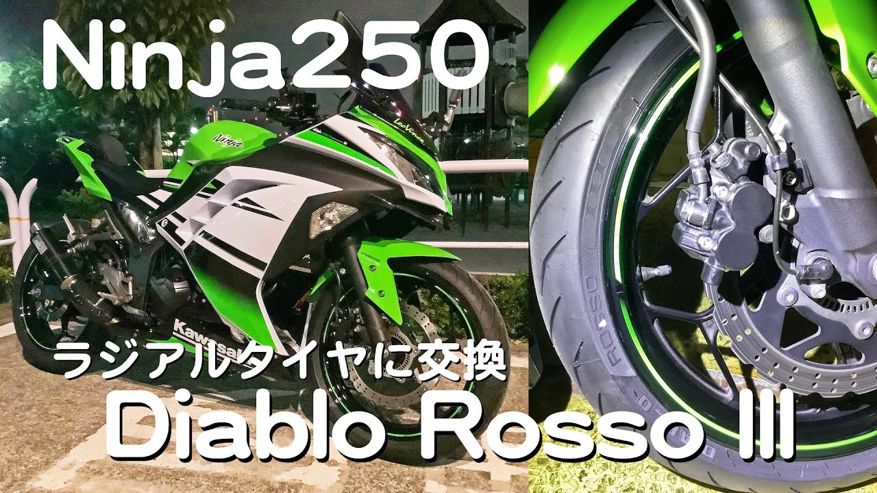 【Kawasaki Ninja250】#49 ラジアルタイヤに交換 ピレリ ディアブロ ロッソ 3【モトブログ】