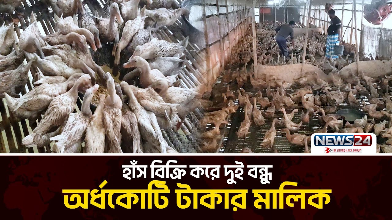 ইঞ্জিনিয়ারের চাকরি ছেড়ে হাঁসের খামার! | Duck farming | News24 Special