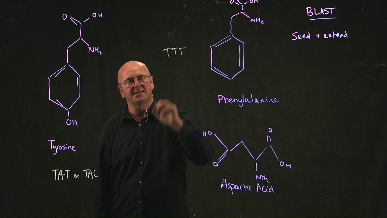 BLAST 3 amino acid differences