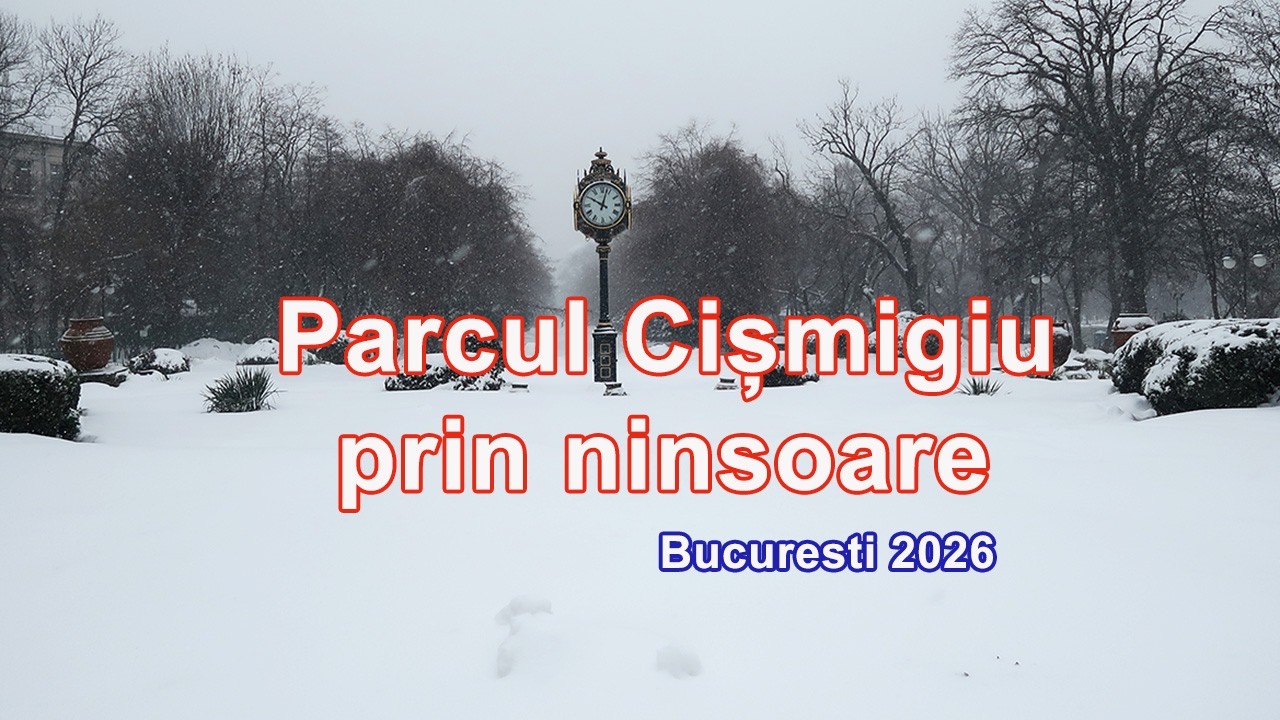cismigiu ninsoare bucuresti februarie