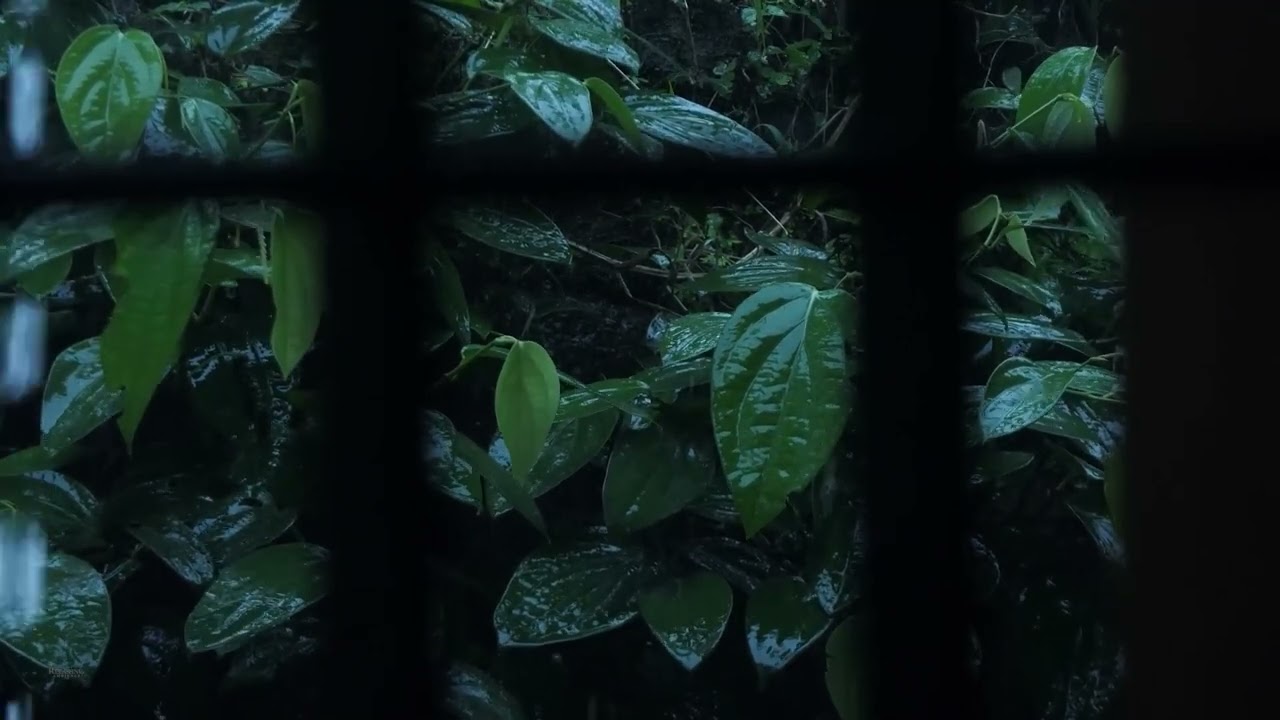 Heavy Rain and Thunder Window View | Help Study, Meditation, PTSD, Insomnia