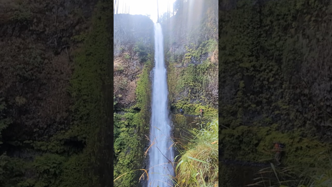Pacific Crest Trail 2024 - Day 108 #pacificcresttrail #thruhike #hiking  #adventure
