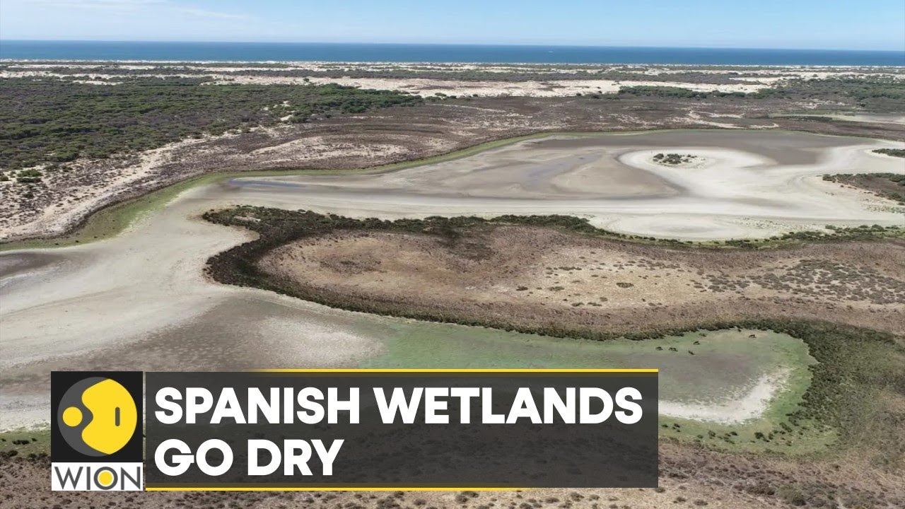 WION Climate Tracker: Spain's Donana wetlands go dry | International News | Top News | English News