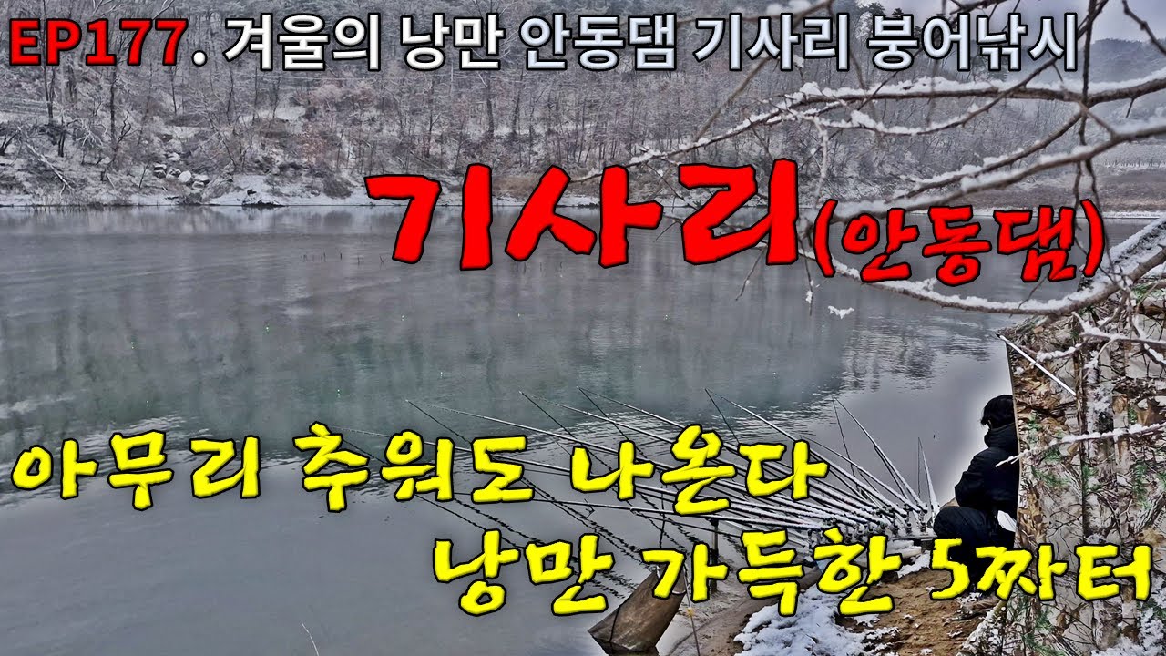 EP177. 겨울의 낭만 | 아무리 추워도 나온다 | 겨울밤의 낭만이 가득한 5짜터 |  안동댐 | 기사리 | 붕어낚시 | Crucian Carp Fishing