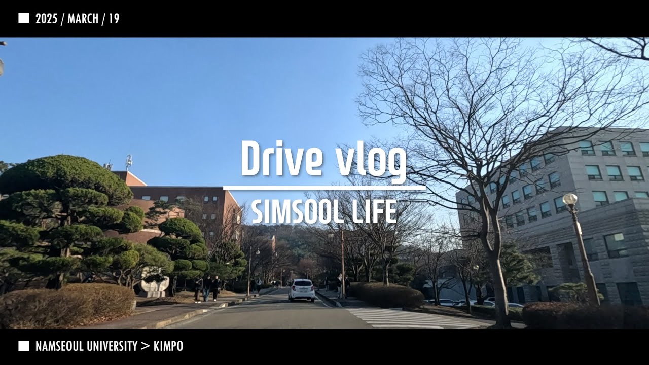 2025 0319 Видеоблог водителя после работы SIMSOOL Университет Намсеула