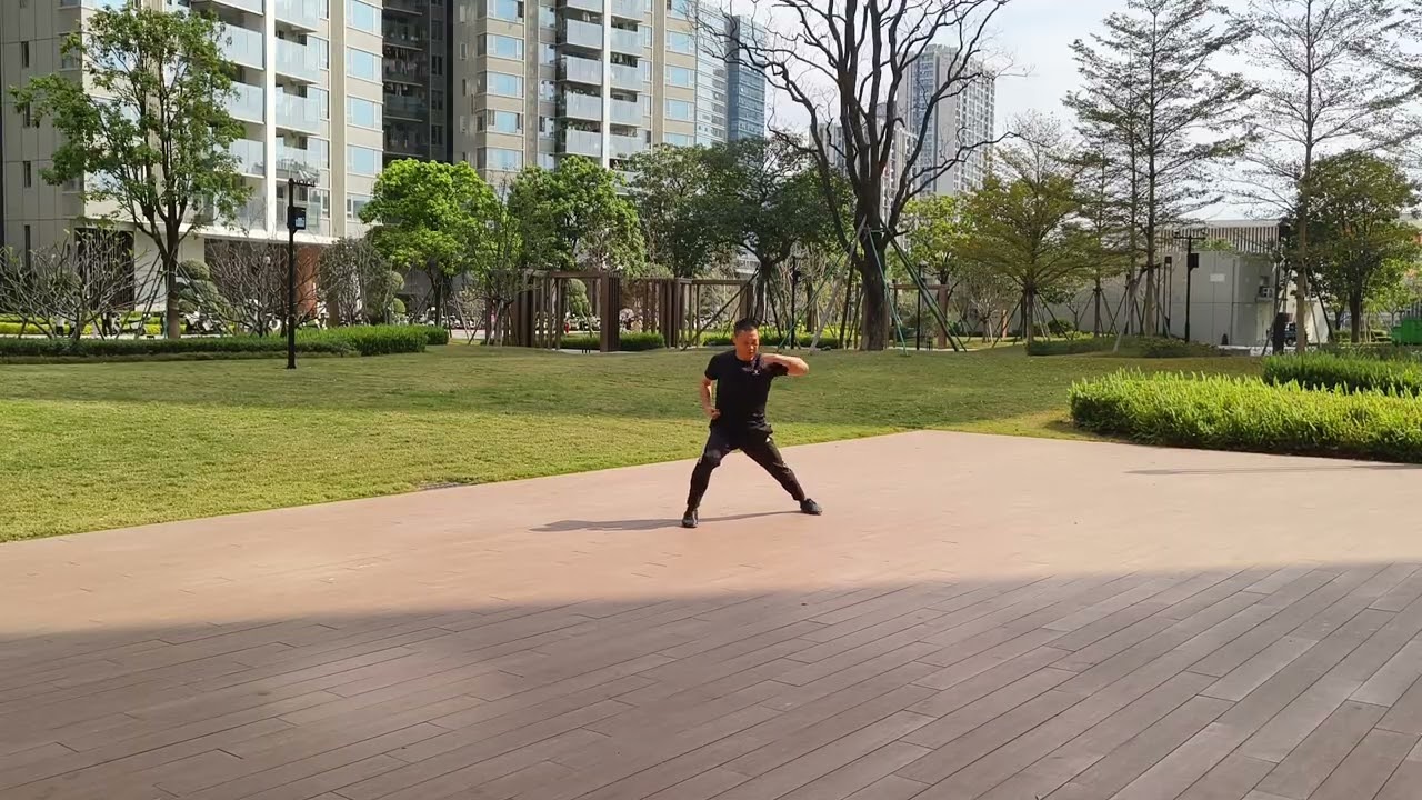 虎鶴雙形拳（練習模式）Fu Hok Sheung Ying Kuen (Practice Mode) 18-2-2026