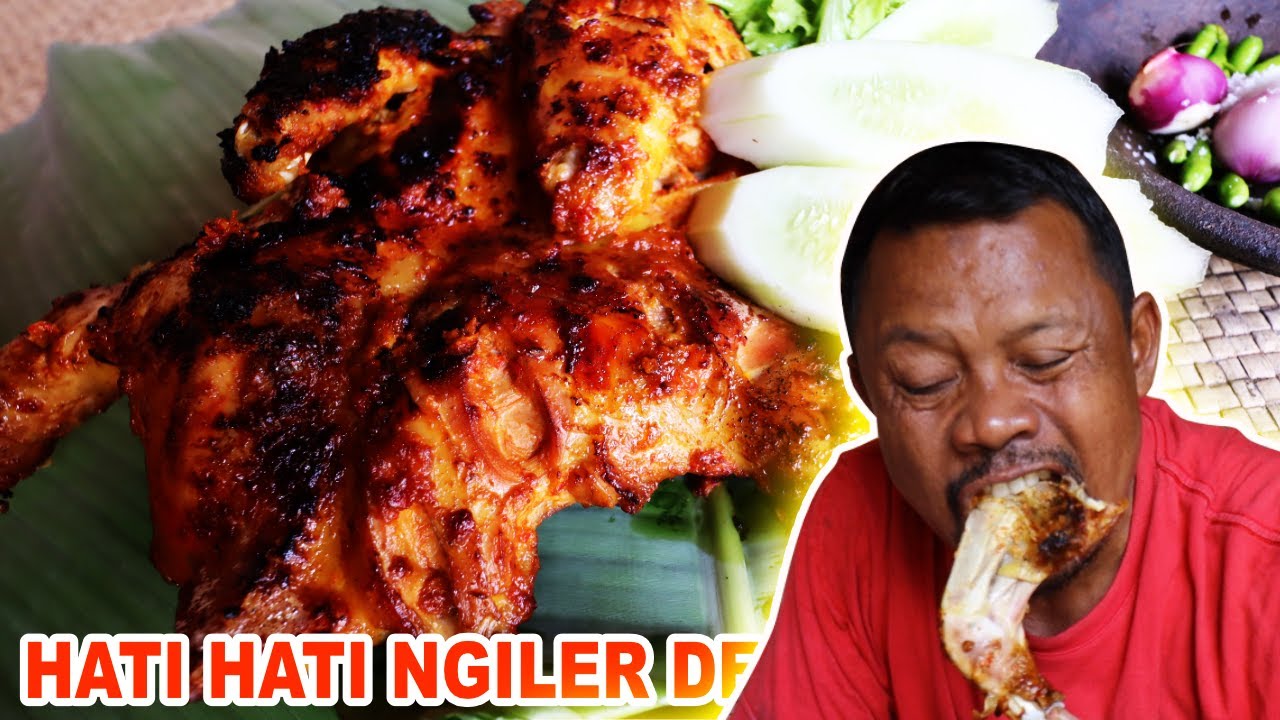AWAS DIBIKIN NGILER AYAM SINGGANG  ❗️❗️