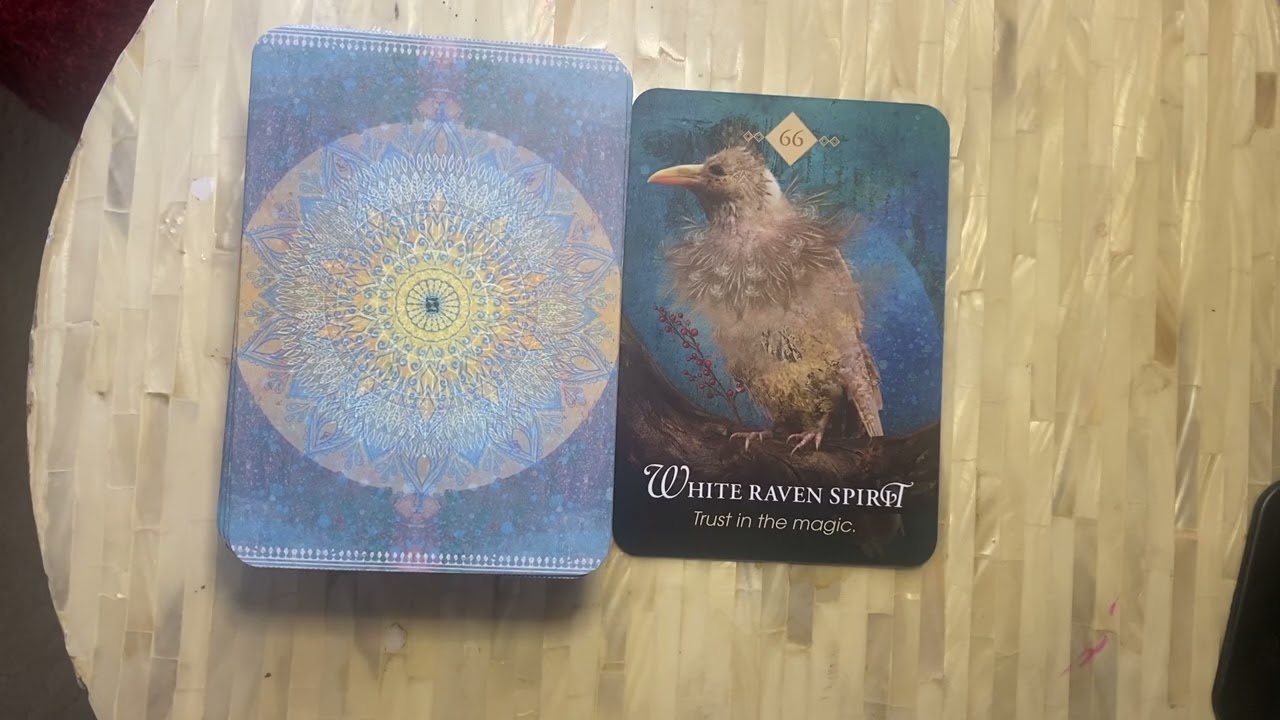 Daily Animal Spirit Oracle Reading ✨ Guidance for Today